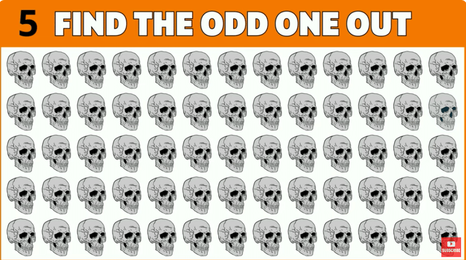 One step closer to being crowned the Halloween "Odd One Out" champion.