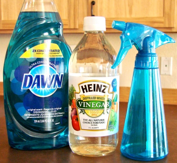 Vinegar + Dish Soap