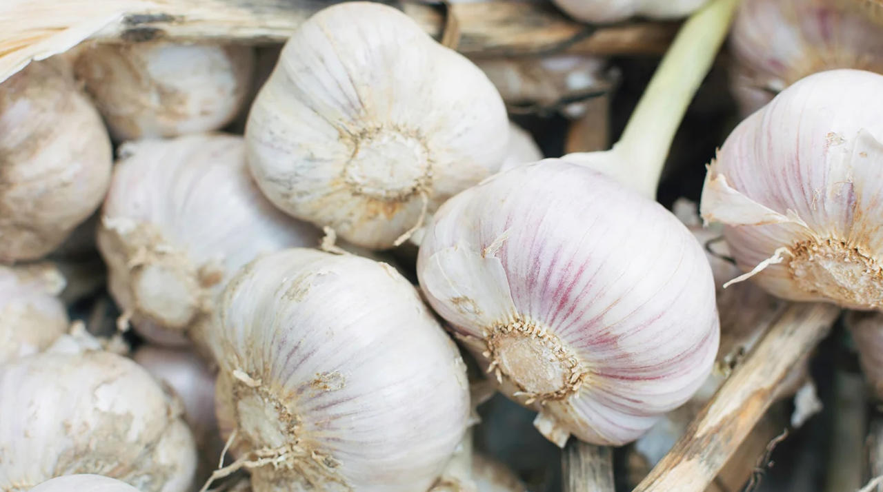 Erase Nail Fungus Naturally: Discover The Power Of Garlic