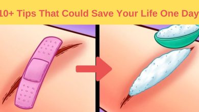 10+ Tips That Could Save Your Life One Day