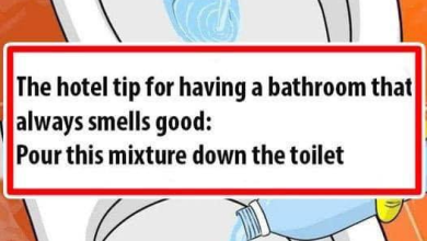 The Hotel Tip For Having A Bathroom That Always Smells Good