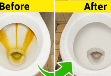 A 30-Second Recipe That Can Keep Your Bathroom Sparkling Clean