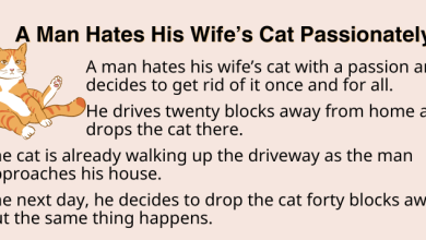 A Man Hates His Wife’s Cat Passionately