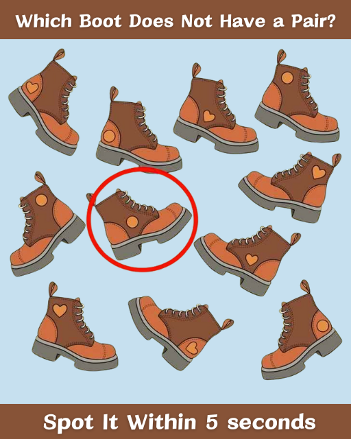 Readers With High IQ Can Spot Which Boot Does Not Have A Pair In The Picture Within 5 Seconds. How About You?