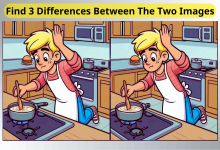 Spot 3 Differences Between Pot Stirring Pictures in 60 Seconds