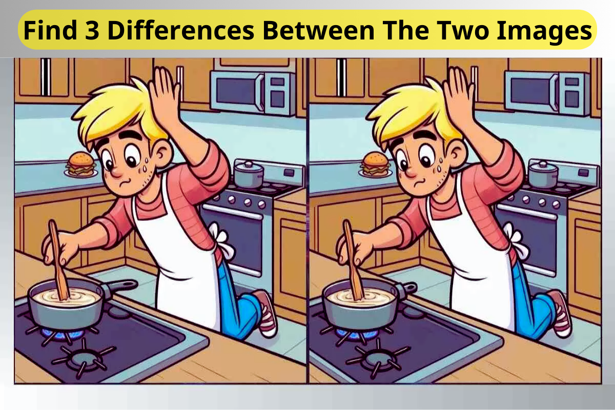 Spot 3 Differences Between Pot Stirring Pictures in 60 Seconds