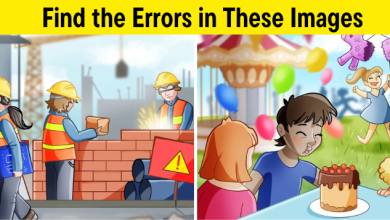 Find the Errors in These Images thumb