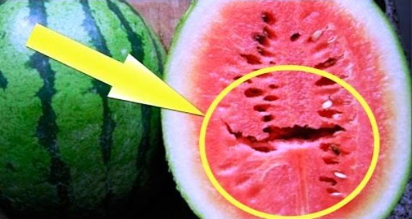 If you open a watermelon you find these cracks in it …