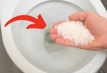 Put Salt In The Toilet. This Trick Will Change Your Life