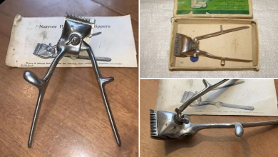 The Historic Artifact That Paved The Way For Modern Grooming Techniques23