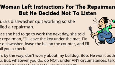 Wife Left Instructions For The Repairman But He Decided Not To Listen thumccvv