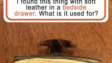 People Wondered about the Purpose of These 6 Things & Got Unexpected Answers