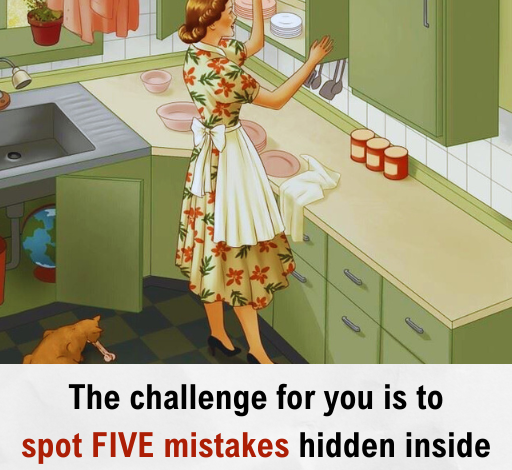 Picture Puzzle IQ Test: Can You Spot 5 Mistakes Hidden Inside the Kitchen Picture?