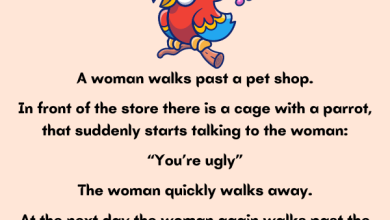 A Woman Walks Past A Pet Shop 2