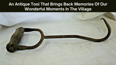 An Antique Tool That Brings Back Memories Of Our Wonderful Moments In The Village