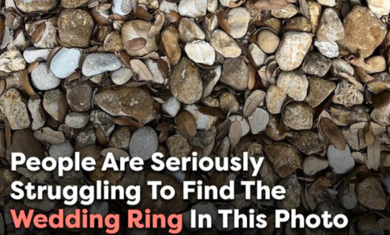 Can You Spot The Wedding Ring In This Photo Of A Bunch Of Pebbles e1723862129948