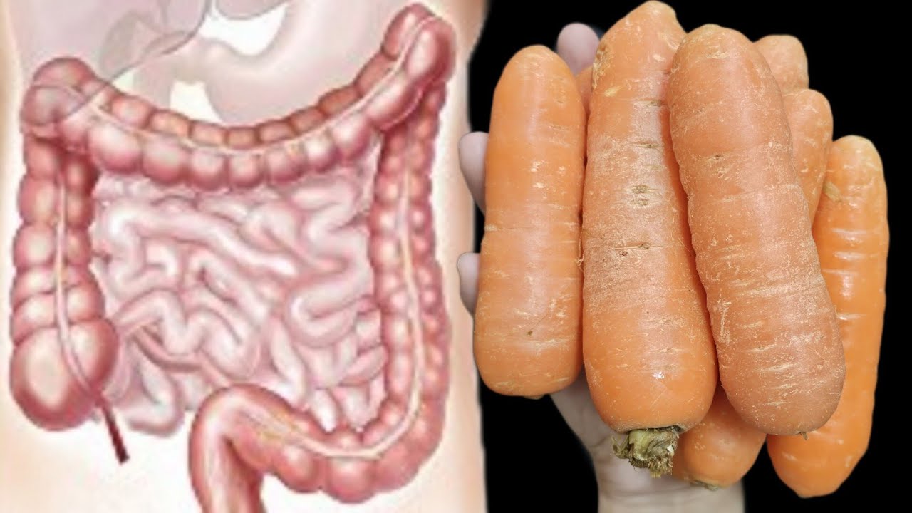 Carrots Your Secret to a Healthier You