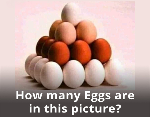 How Many Eggs Can You See 600 x 503 px