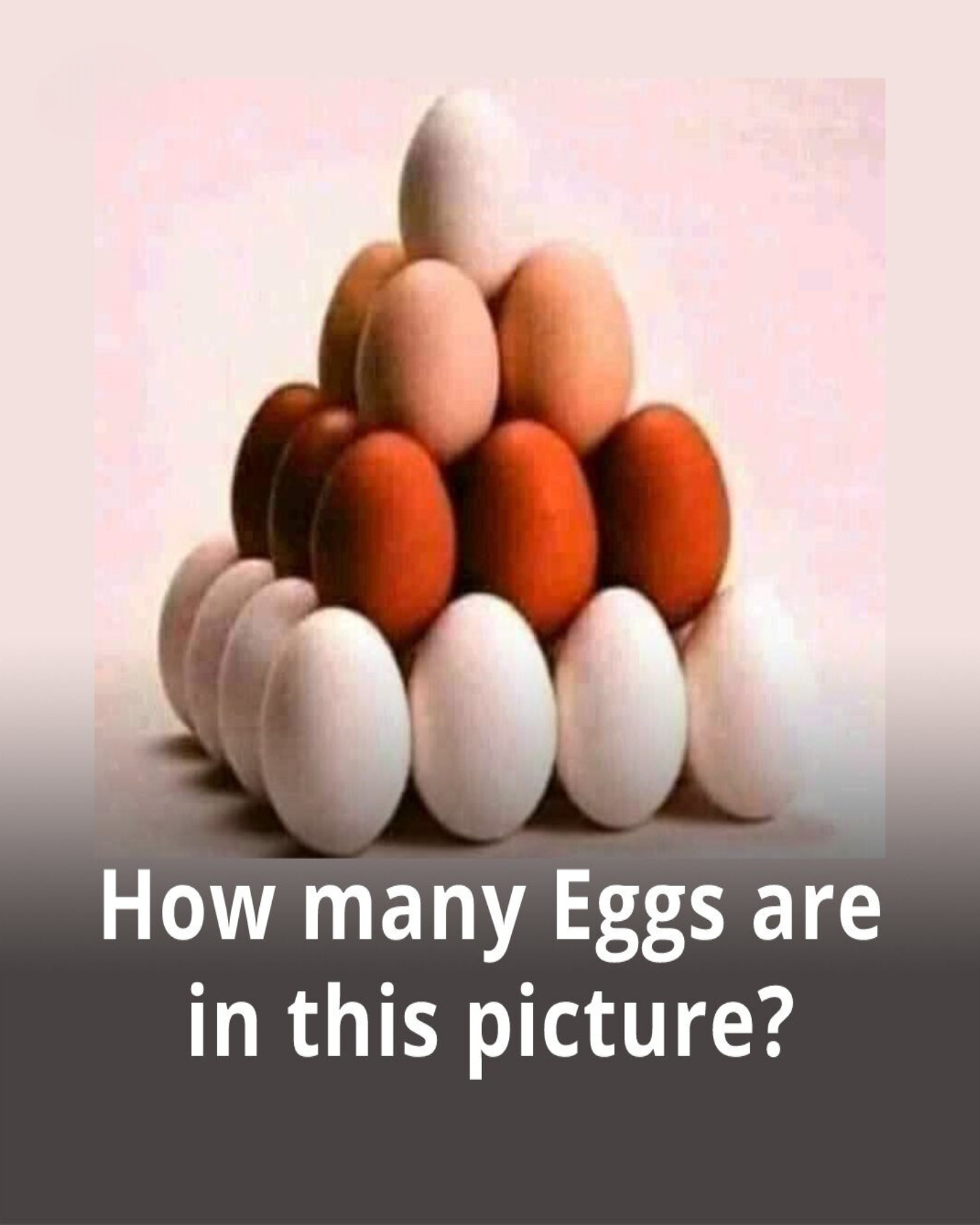 How Many Eggs Can You See