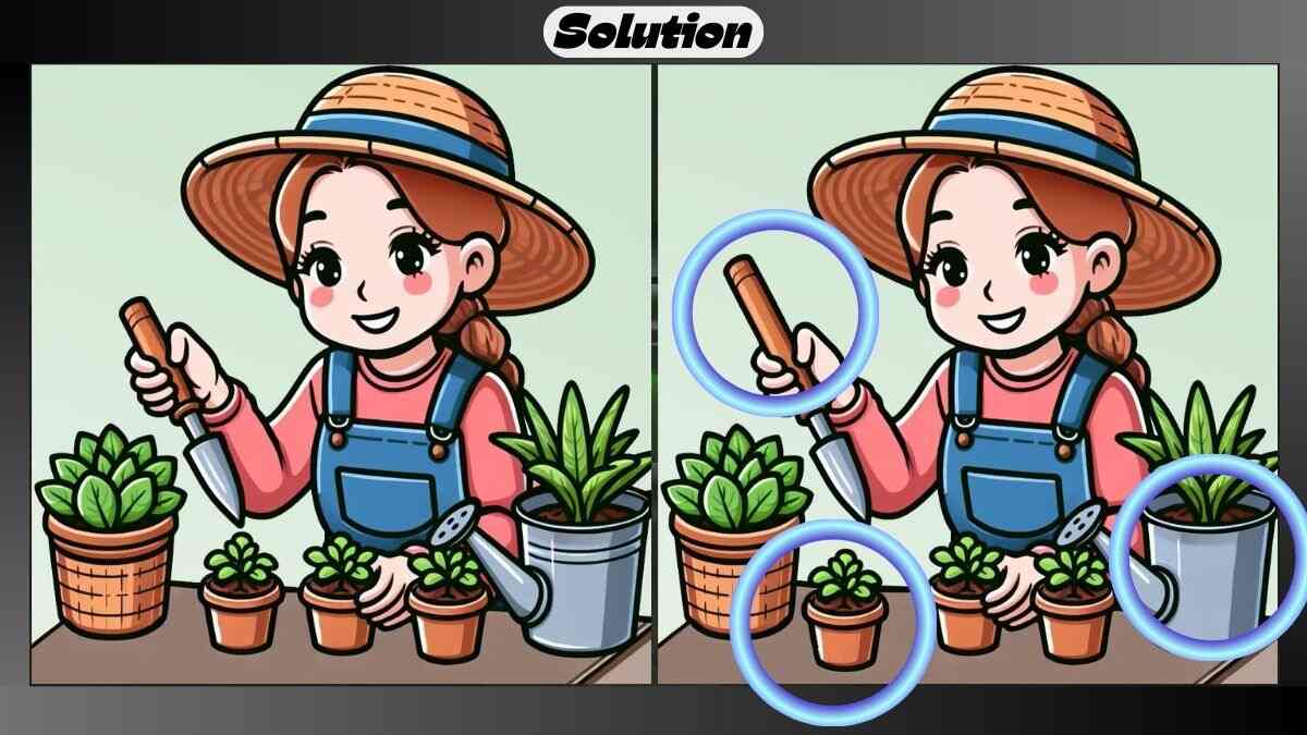 Indoor Gardening Solution