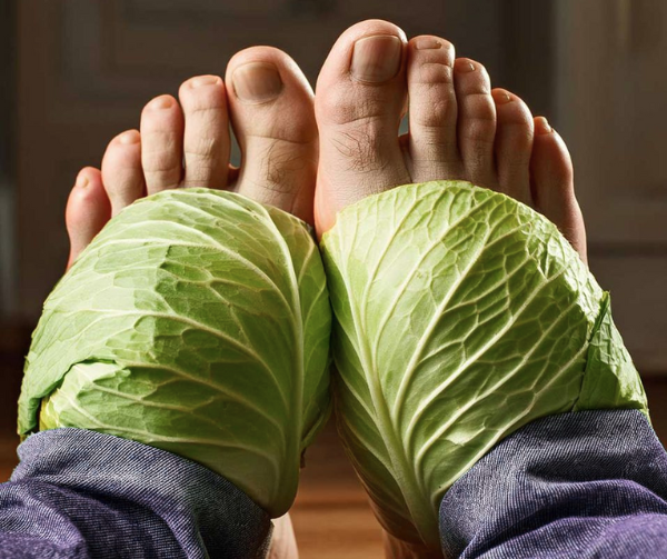 My Nana Swears By This Cabbage Wrap Hack For Swollen Joints2