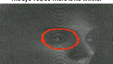 No One Has Found The Number Inside The Eye Yet So There Is No Winner 1 e1724129353790