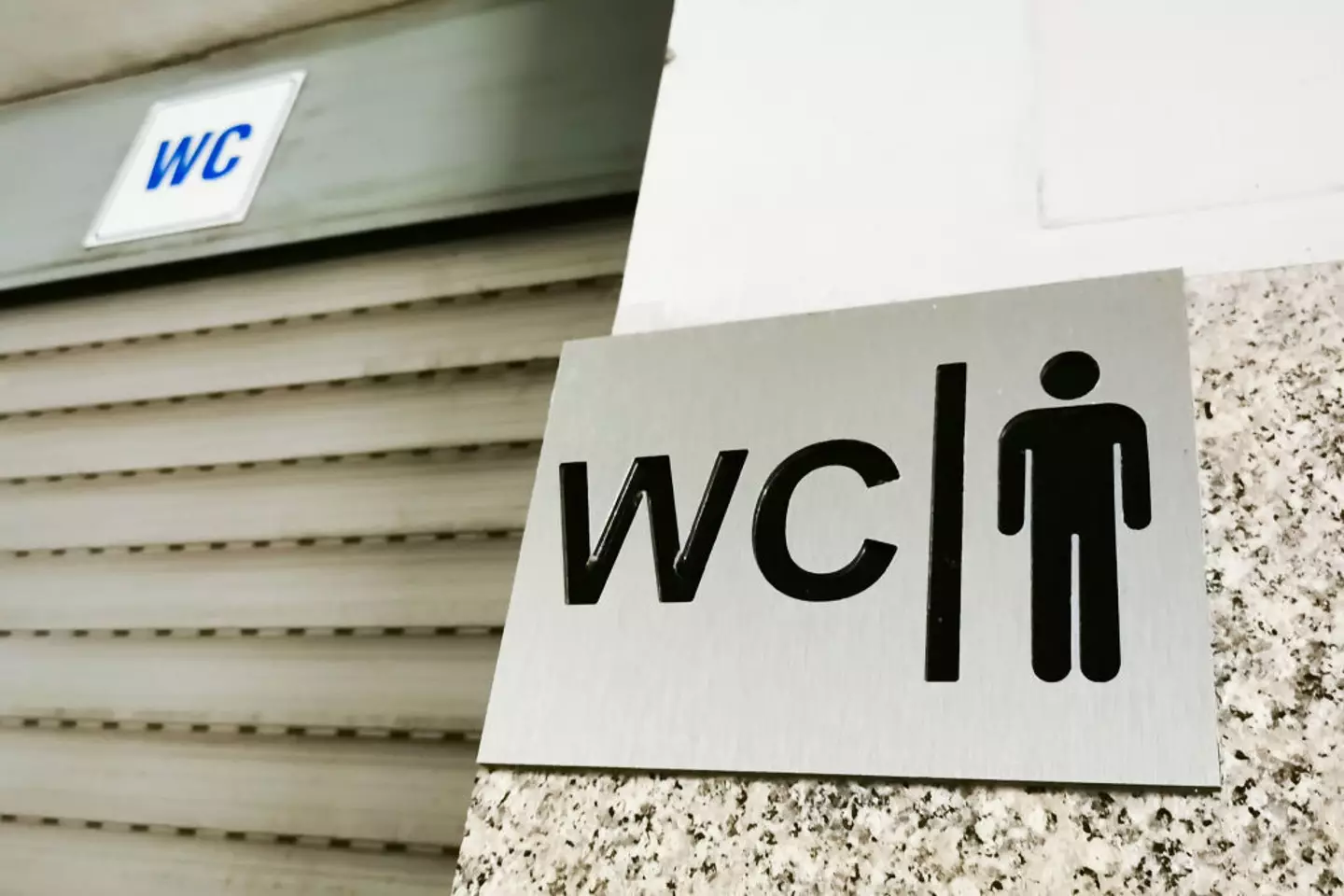 People Were Left Stunned After Finally Learning What ‘WC Toilet Sign Stands For