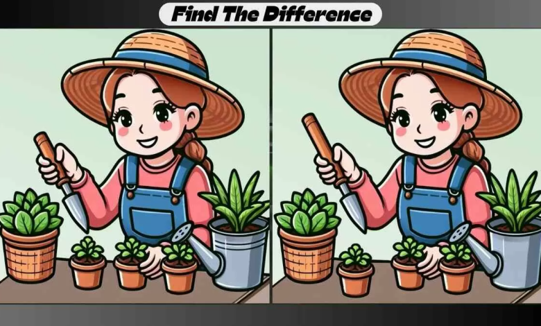 Spot 3 Differences Between Indoor Gardening Pictures in 20 Seconds