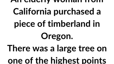 An Old Woman From California Purchased A Timber