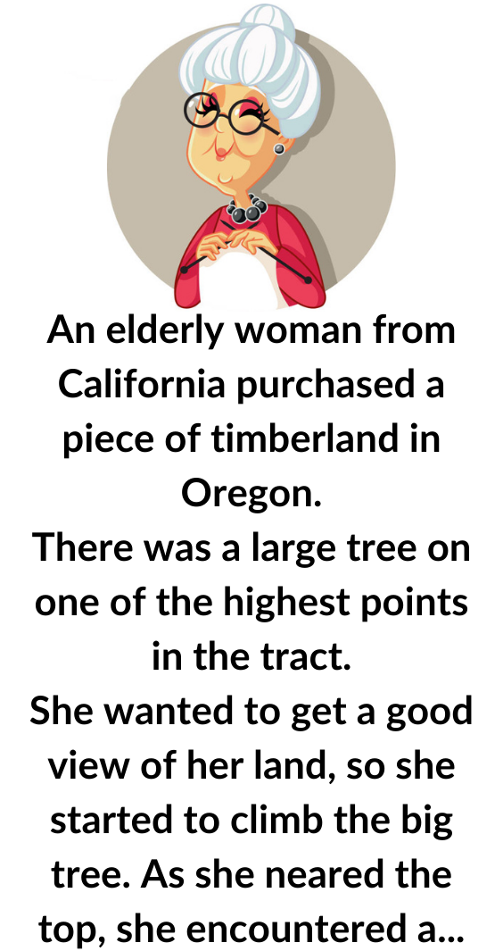 An Old Woman From California Purchased A Timber