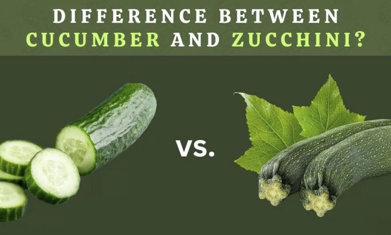 Difference Between Cucumber and