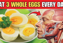 Eat 3 Whole Eggs Every Day 1