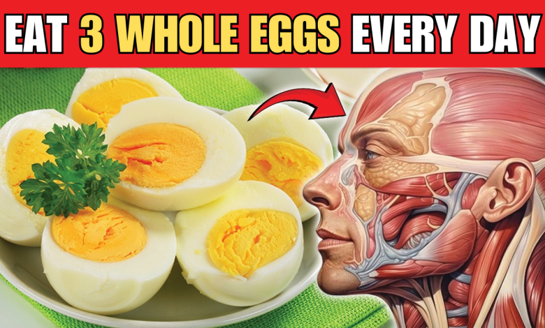 Eat 3 Whole Eggs Every Day 1