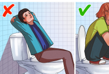 How to Use a Toilet Correctly to Avoid Health Problems