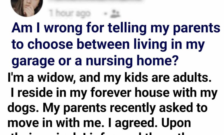 I Asked My Older Parents To Decide If They Want To Stay In My Garage Or Go To A Nursing Home e1725213790740