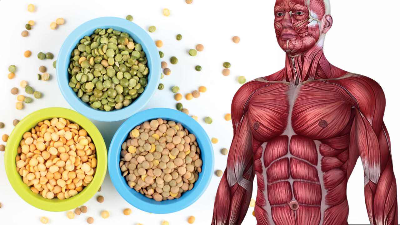 If You Eat Lentils Everyday This Is What Happens To Your Body