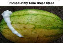 If You See Your Watermelon Foam Up Immediately Take These Steps