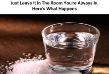 Mix Vinegar And Salt In A Glass Of Water And Just Leave It In The Room Youre Always In