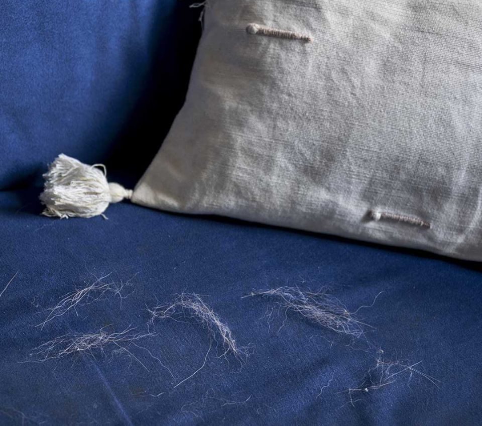 My mom taught me this trick to remove pet hair from furniture in just 2 minutes with 0 effort e1725422385359