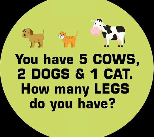 Riddle You Have 5 Cows 2 Dogs 1 Cat How Many Legs Do You Have