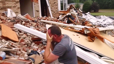 Son Who Didnt Visit His Mother for Years Comes and Sees Her House Destroyed