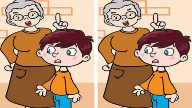 Spot The Difference Between The Grandmother And Grandson In The Picture