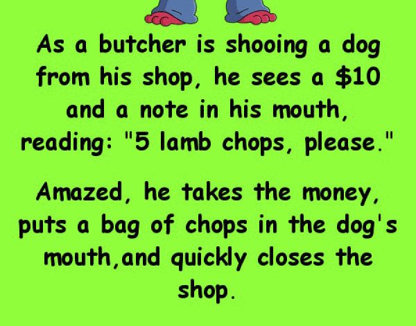 The Dog goes to a butcher funny