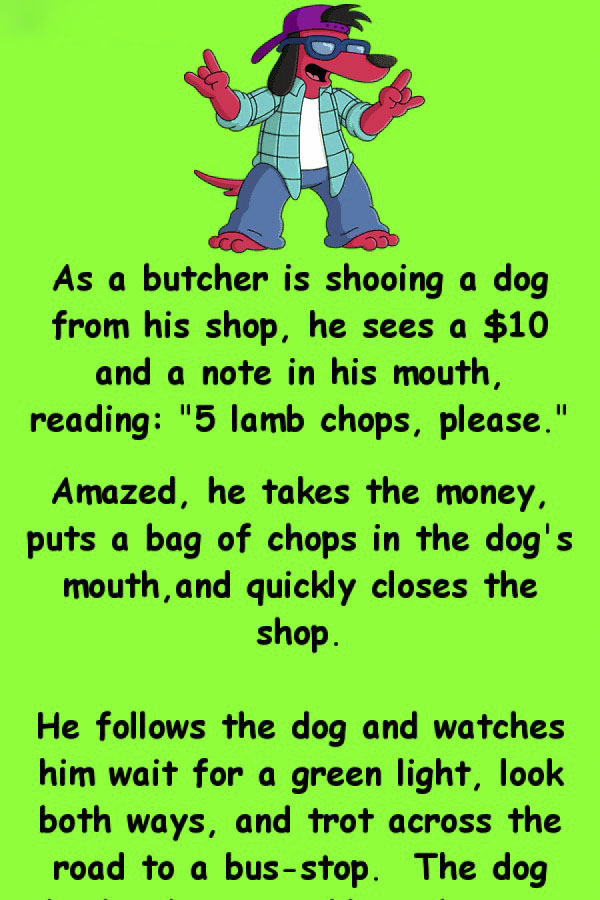 The Dog goes to a butcher funny