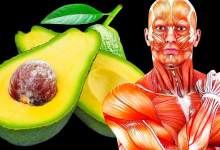 What Can Happen to Your Body If You Start Eating an Avocado a Day for 30 Days