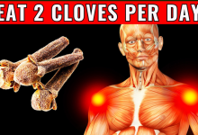 What Happens To Your Body When You Eat 2 Cloves Every Day