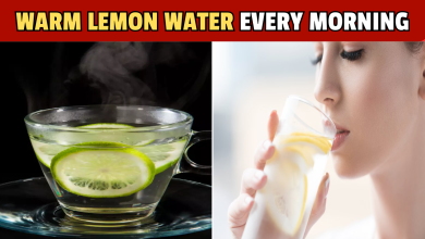 What Happens To Your Body When You Start Drinking Lemon Water Every Morning234