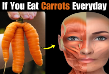 What Happens When You Start Eating Carrots Everyday2