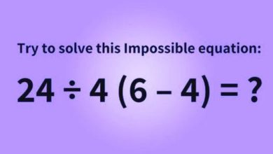 462025232 947262967429260 3200961381317184961 nV