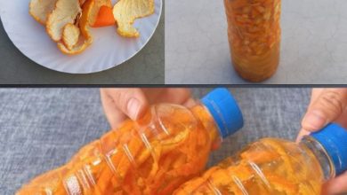 Harnessing the Power of Citrus Peels and Vinegar for Eco